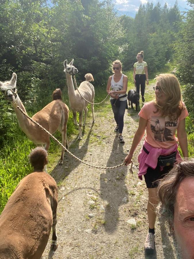 Naturidyll Brunner Kostendorf Zewnętrze zdjęcie